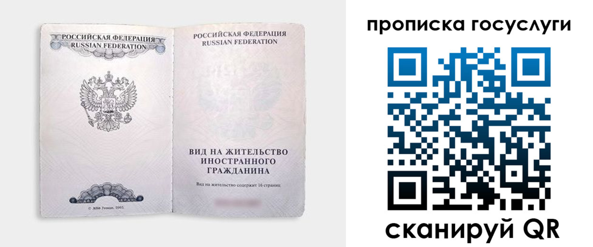 прописка поиск в Кохме